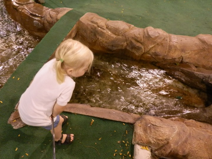  Fiona watches her green golf ball float down a stream on hole 15 at Pier 25 Mini Golf.