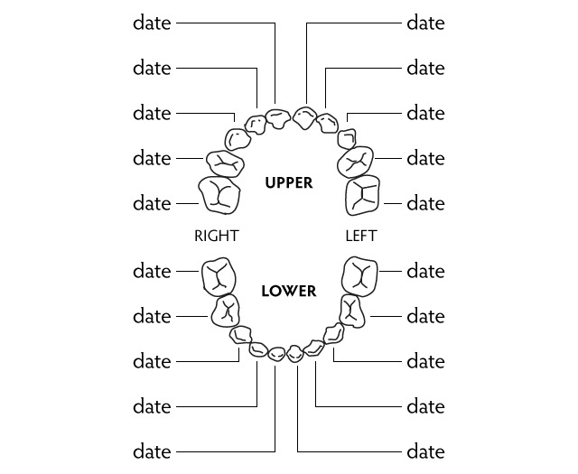 ToothTracker (image of Adobe Illustrator version)